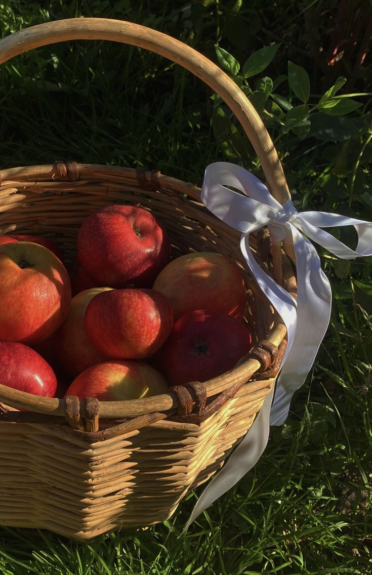 You are the apple of my eyes
