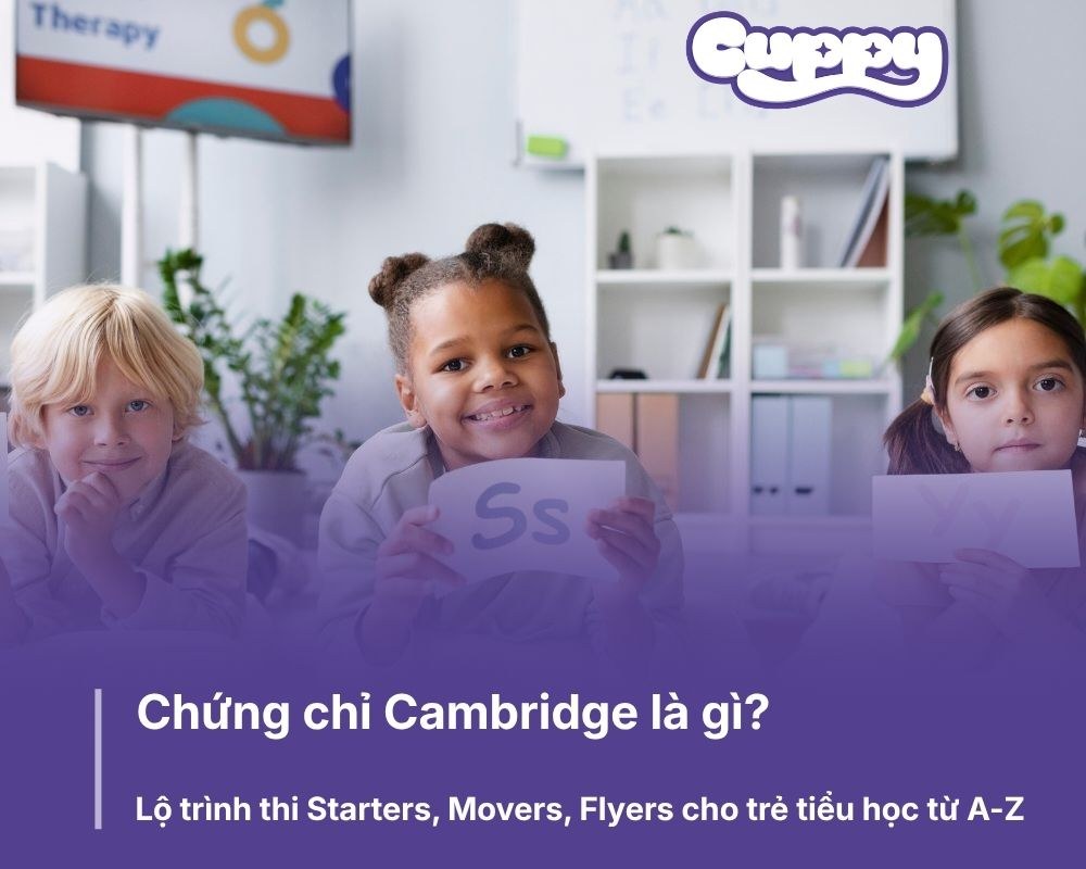 Chứng chỉ Cambridge là gì? Lộ trình thi Starters, Movers, Flyers cho trẻ tiểu học từ A-Z