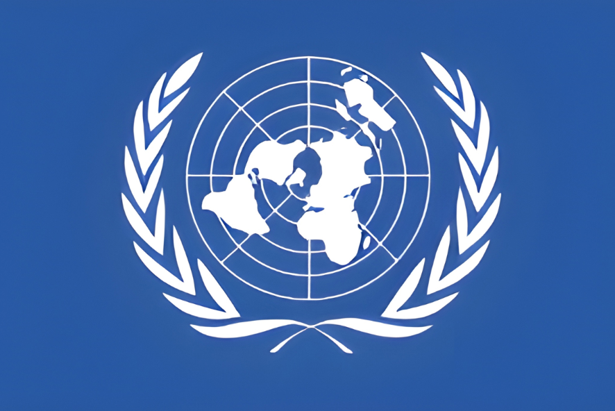 Cover: Viet Nam and international organisations
