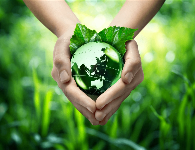 Cover: Protecting the environment