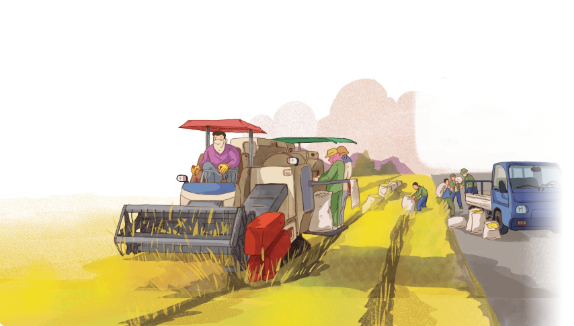 Cover: Life in the Countryside