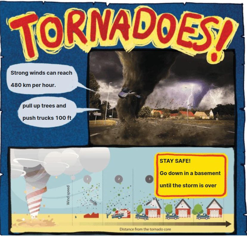 Cover: Natural Disasters